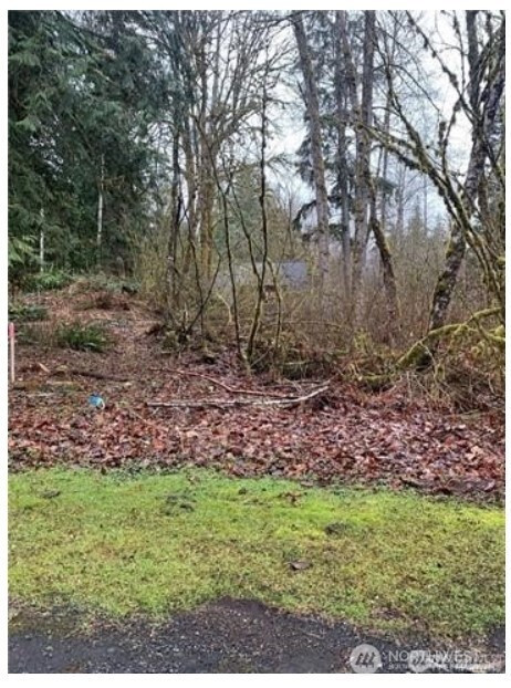 16007 Shuksan Rim Drive, Deming, WA 98244