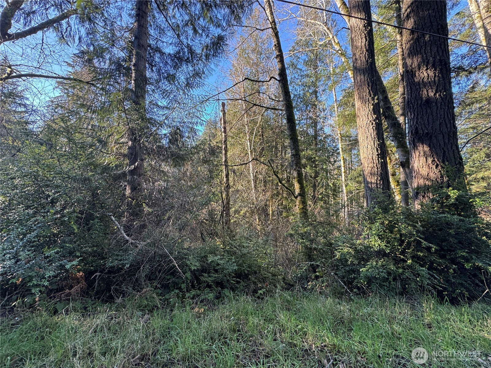 9606 Otso Point Road, Anderson Island, WA 98303