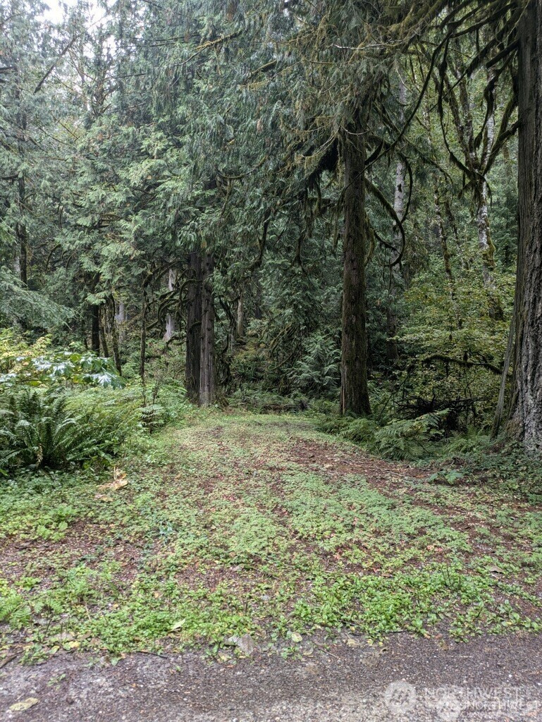 0 D1-L68 Cascade River Park Road, Marblemount, WA 98267