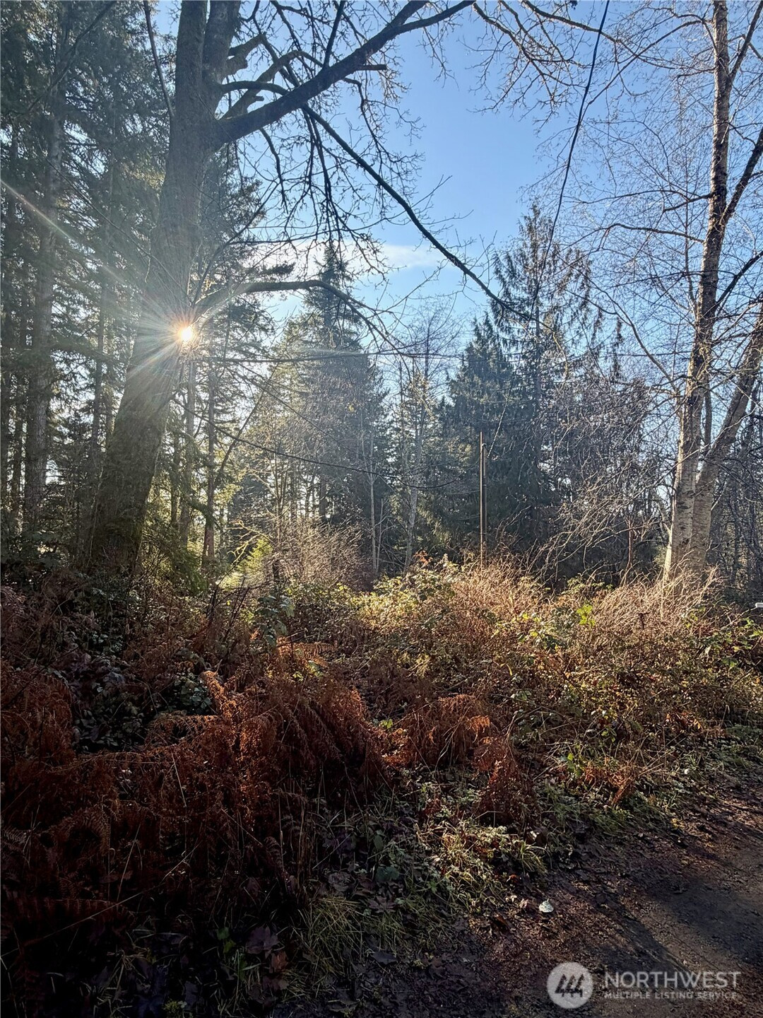 51 Fox Road, Quilcene, WA 98376