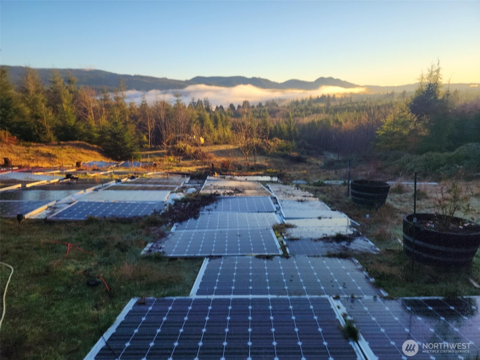 317 Parpal Road, Naselle, WA 98638