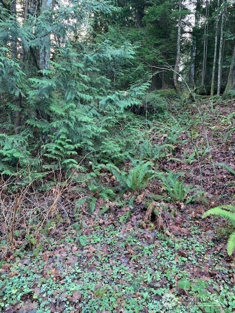 283 xx SE 146th Street, Issaquah, WA 98027