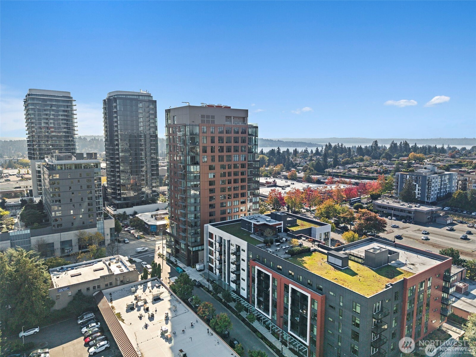 1085 103rd Avenue NE, Bellevue, WA 98004