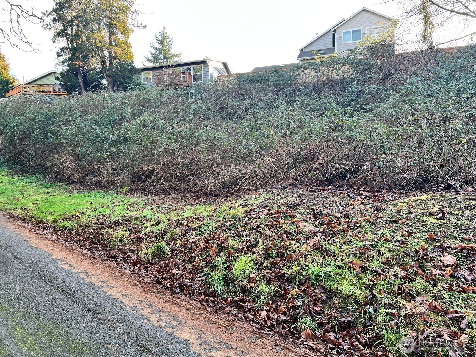 73 XX Glenridge Way SW, Seattle, WA 98136