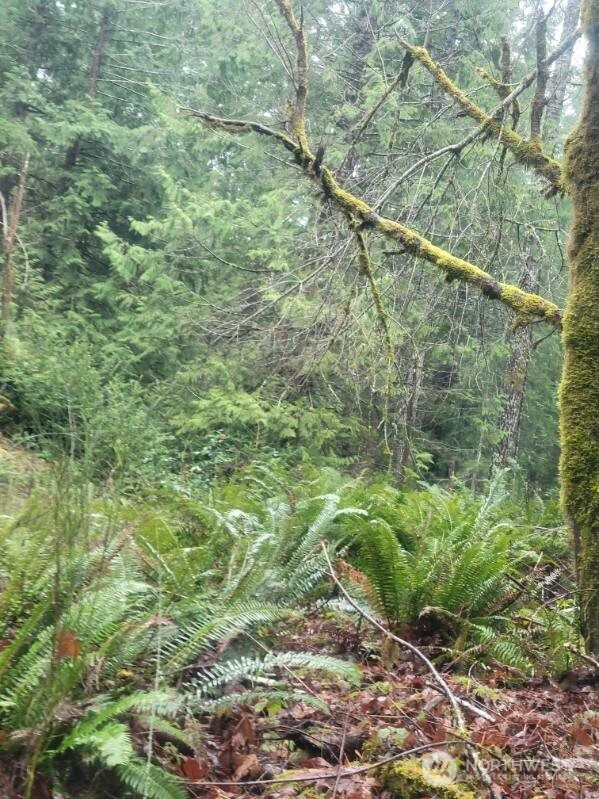 1 GD 2048 Rd, Union, WA 98592