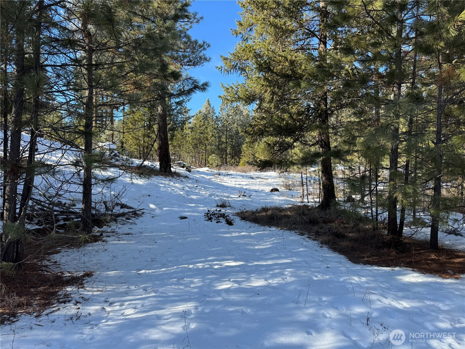 0 TBD Cartwright Drive, Tonasket, WA 98855