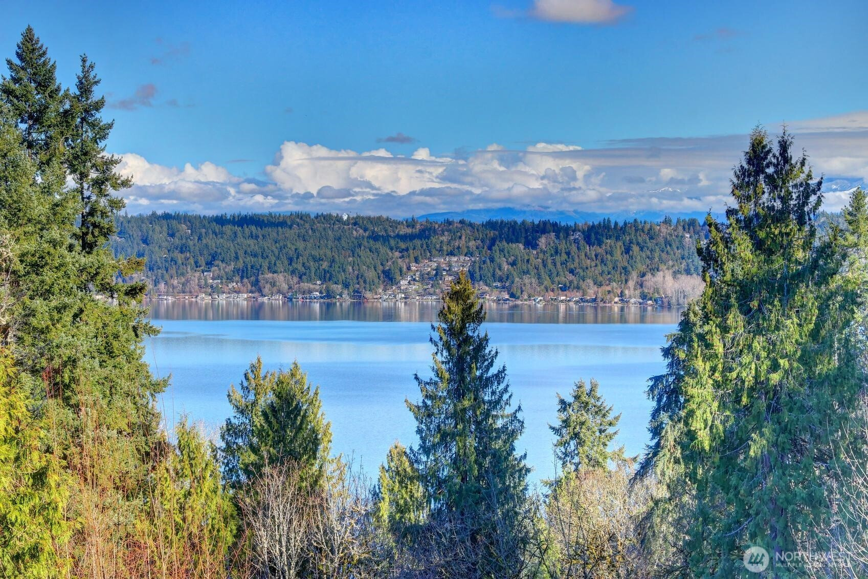 460 168th Avenue SE, Bellevue, WA 98008