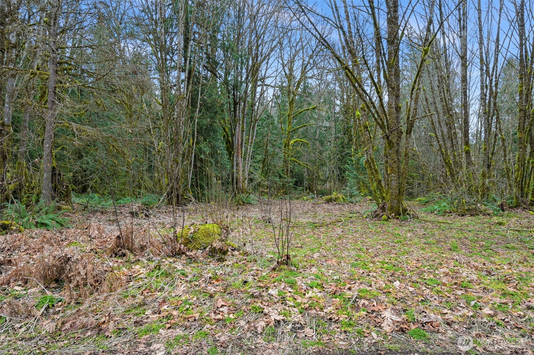 7738 Maple Drive, Maple Falls, WA 98266