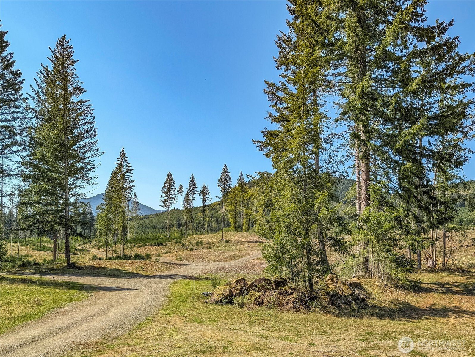 0 Craig Road, Packwood, WA 98361
