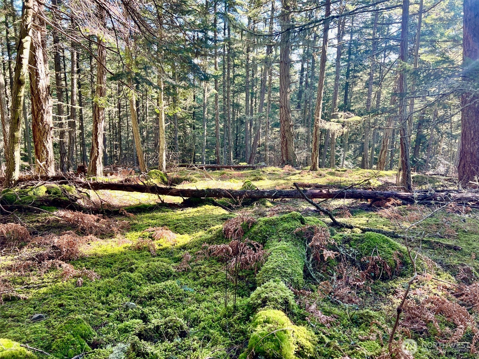 0 Highland Drive, Decatur Island, WA 98221