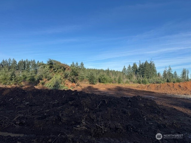 380 Hawkins Road, Winlock, WA 98596