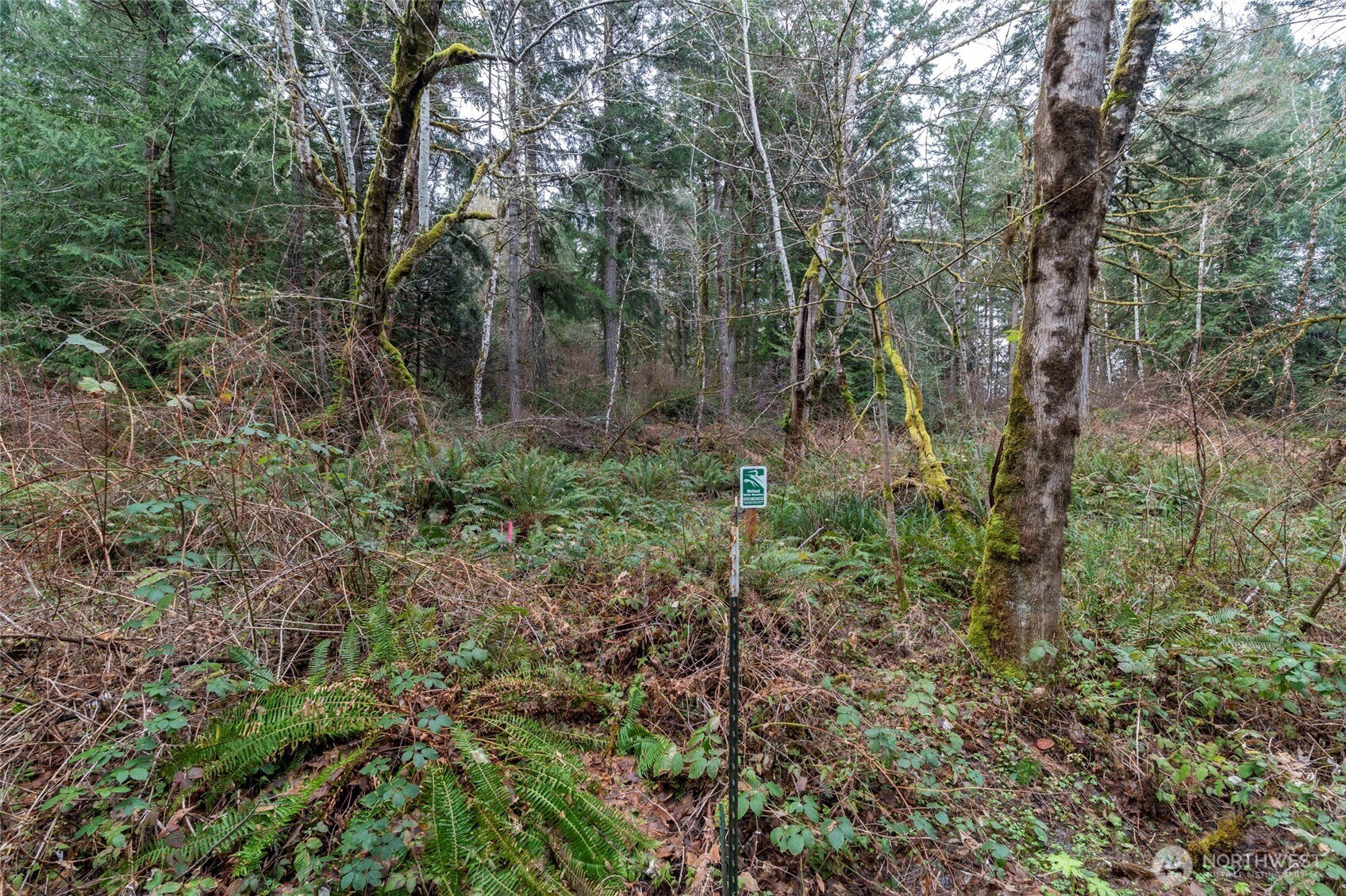 8900 Adams Lane NW, Olympia, WA 98502