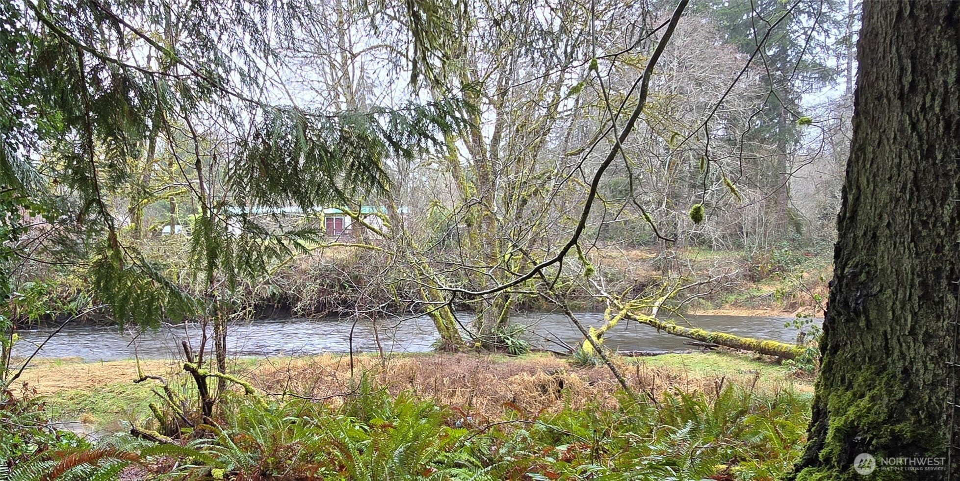 351 W Haven Drive, Elma, WA 98541