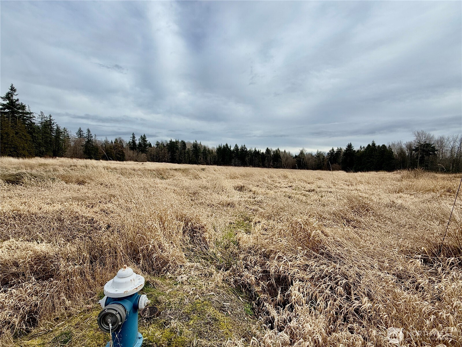 0 Blaine Road, Blaine, WA 98230