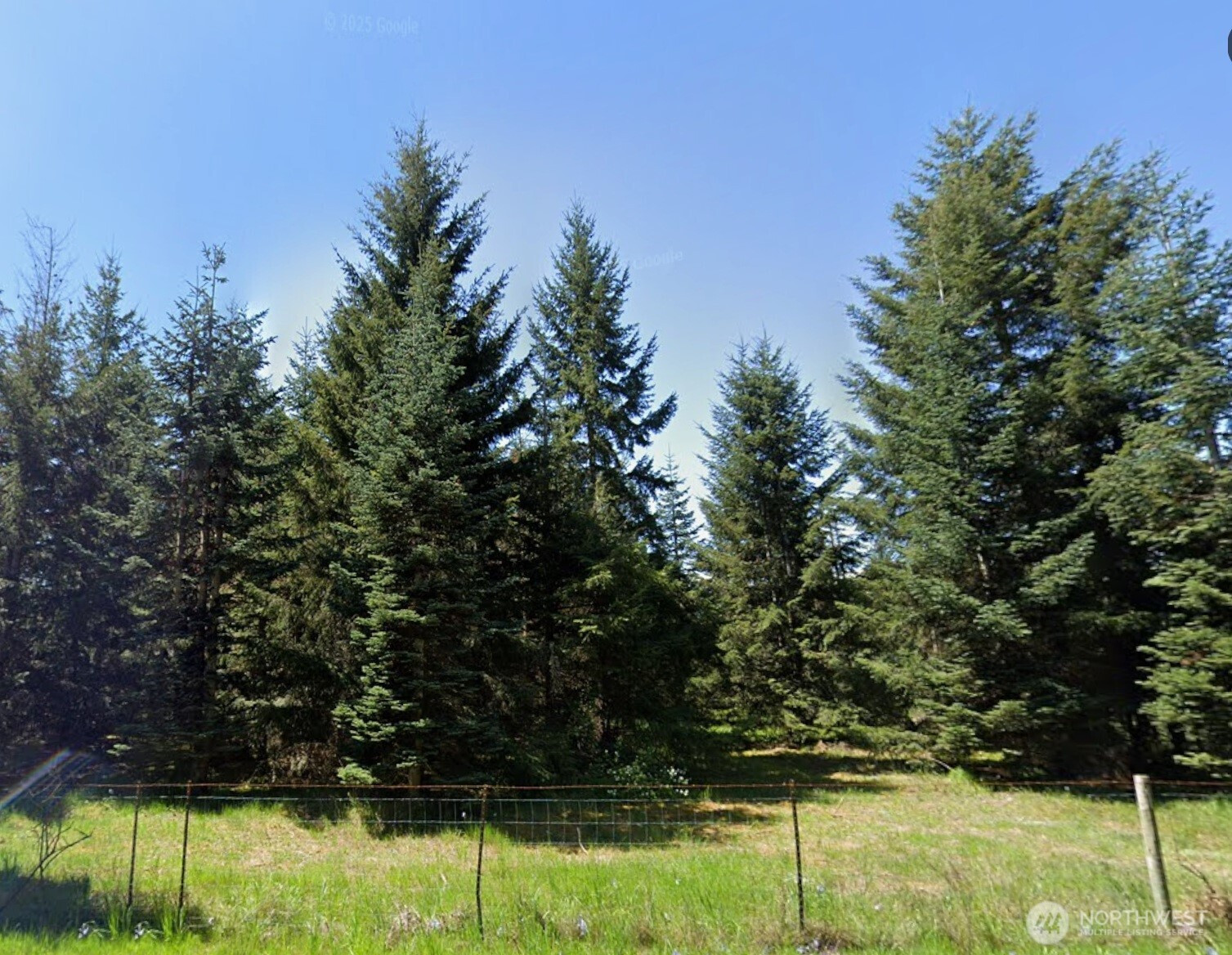 0 Loganberry Street SW, Rochester, WA 98579