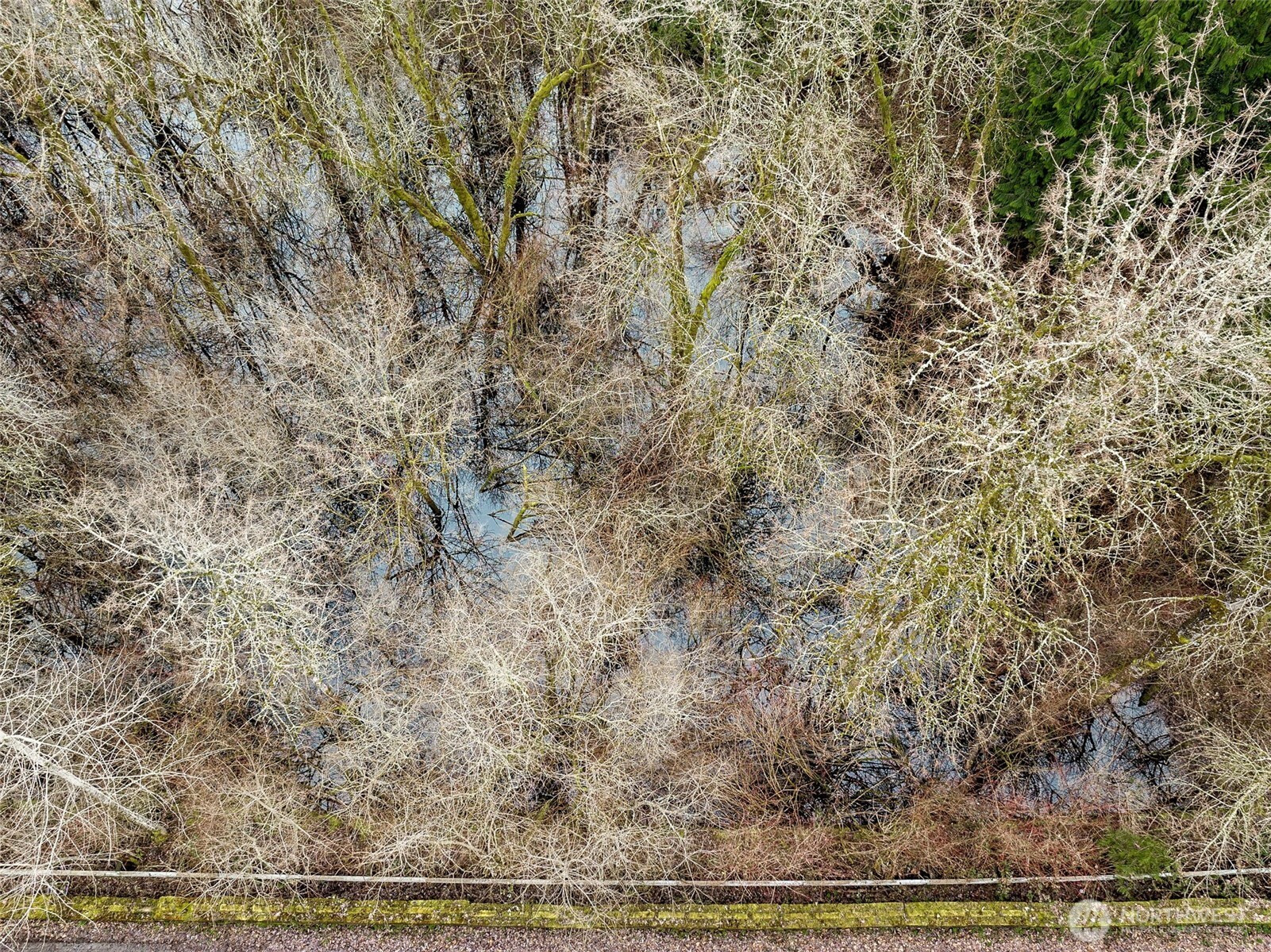 6202 188th Avenue E, Bonney Lake, WA 98391