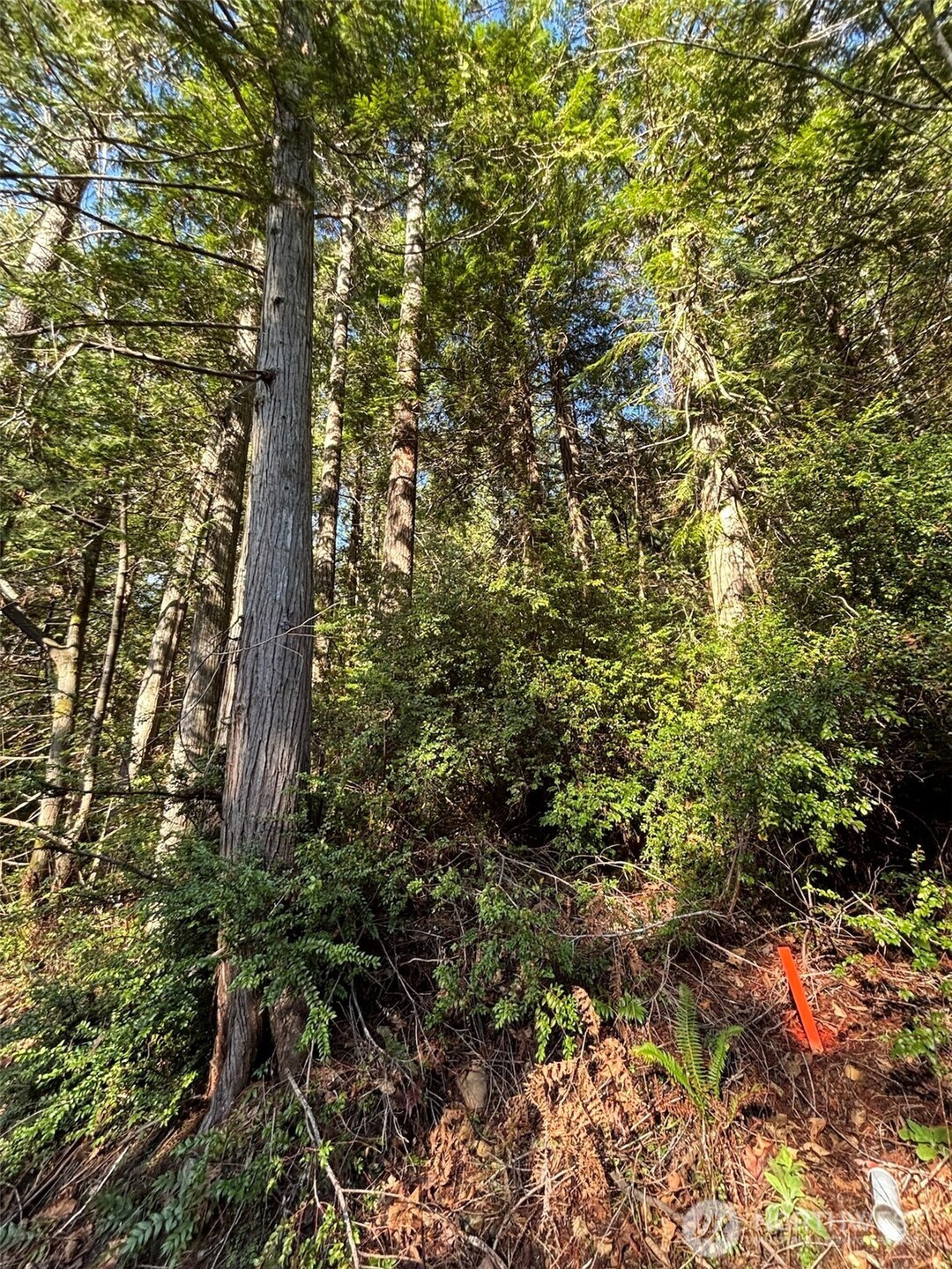 0 NKA Yashi Road, Brinnon, WA 98320