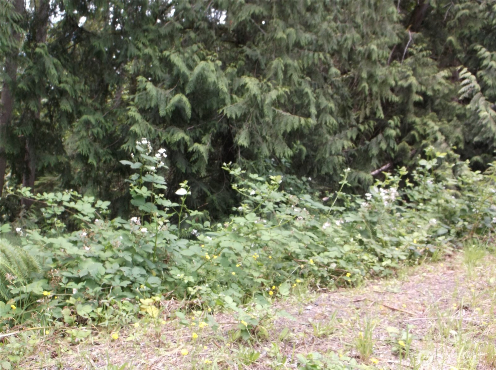 18012 123rd Place NE, Arlington, WA 98223