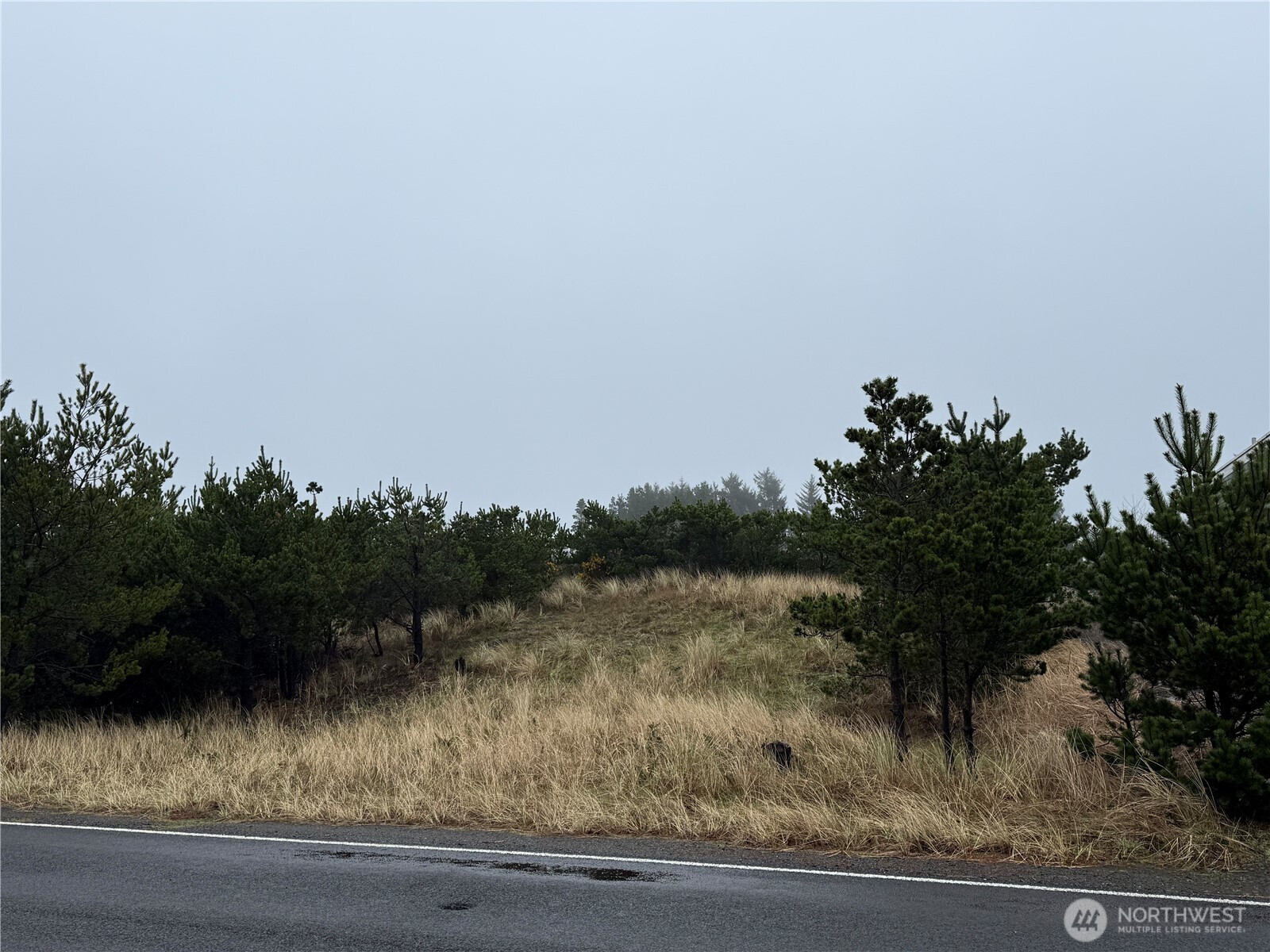 34806 I Street, Ocean Park, WA 98640