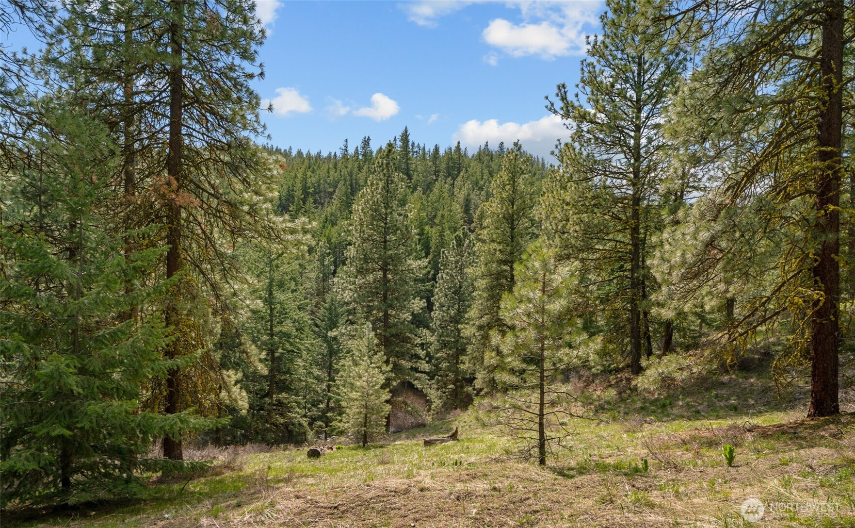 0 Skull Springs Road, Cle Elum, WA 98922