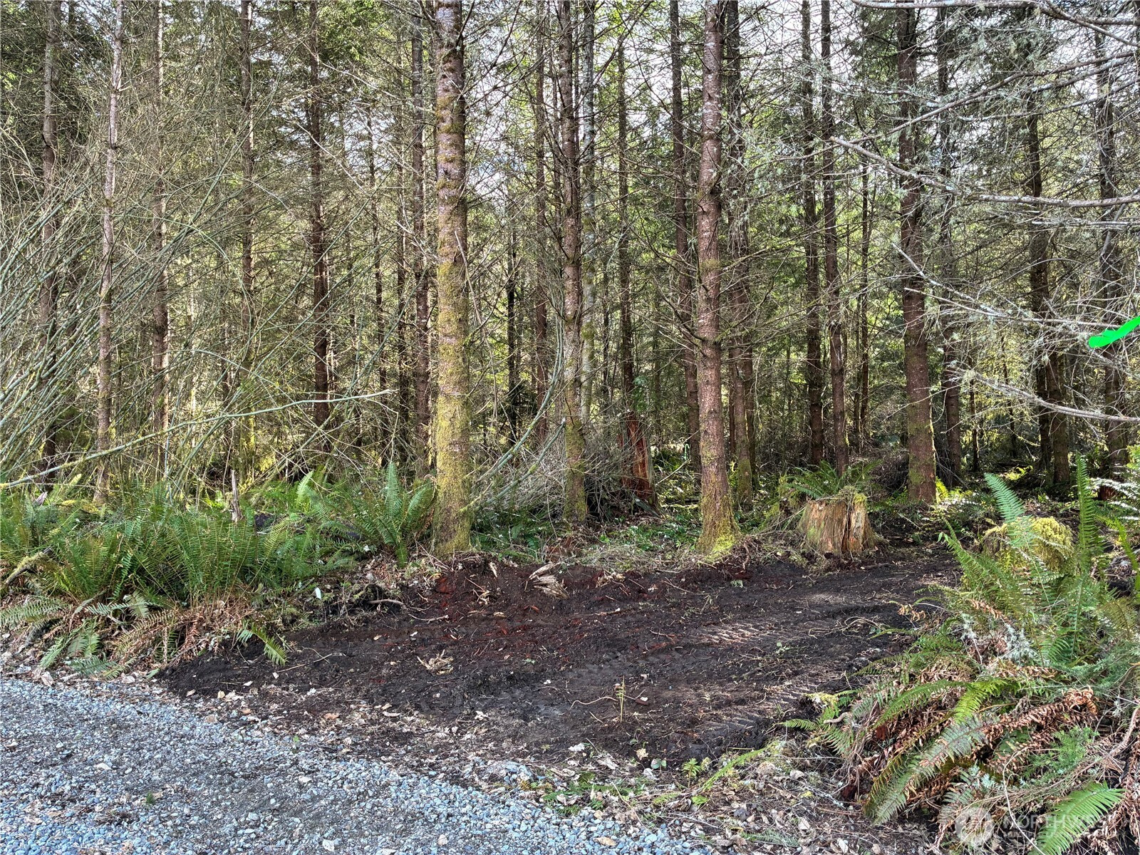 28840 Free lane Road, Carbonado, WA 98323