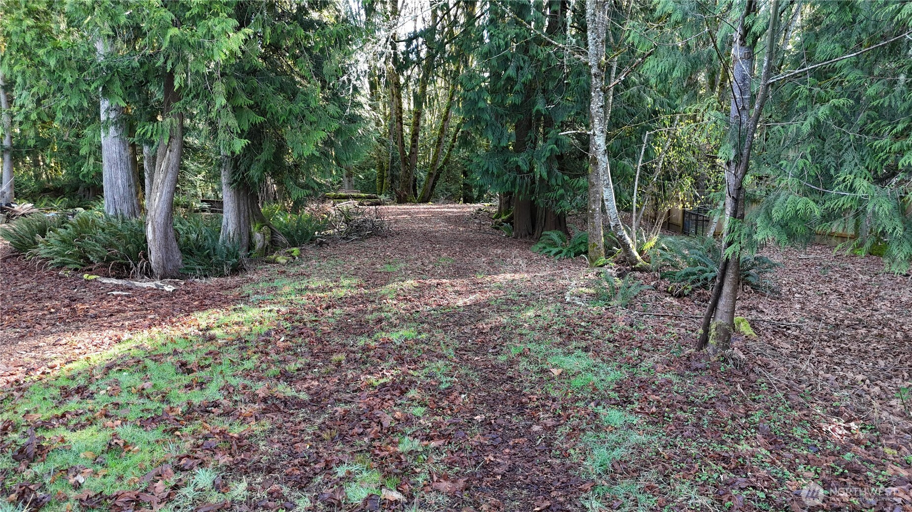 2254 Yew Street Road, Bellingham, WA 98229