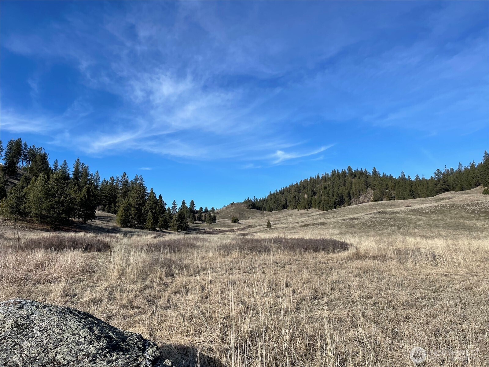 5170 Pheasant Way, Fruitland, WA 99129