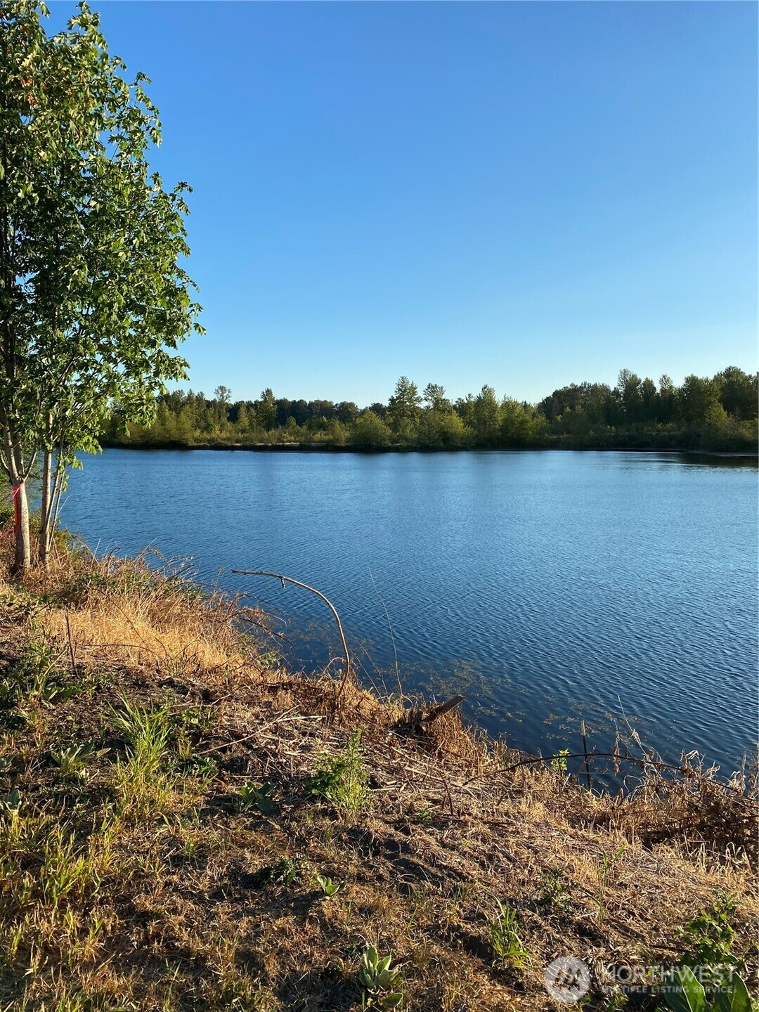 243 -12 Collins Road, Toledo, WA 98591