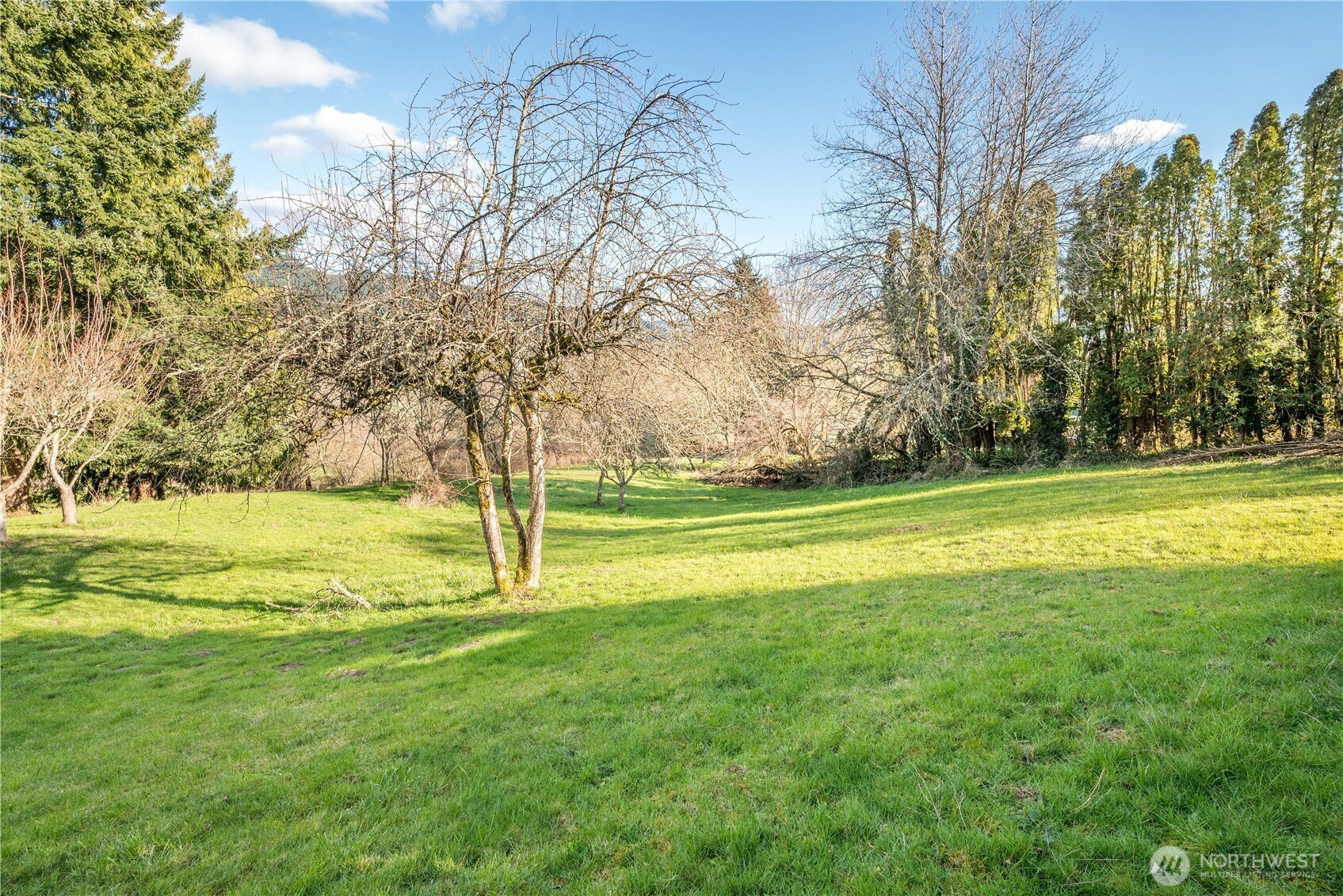 2411 Sunrise Street, Kelso, WA 98626