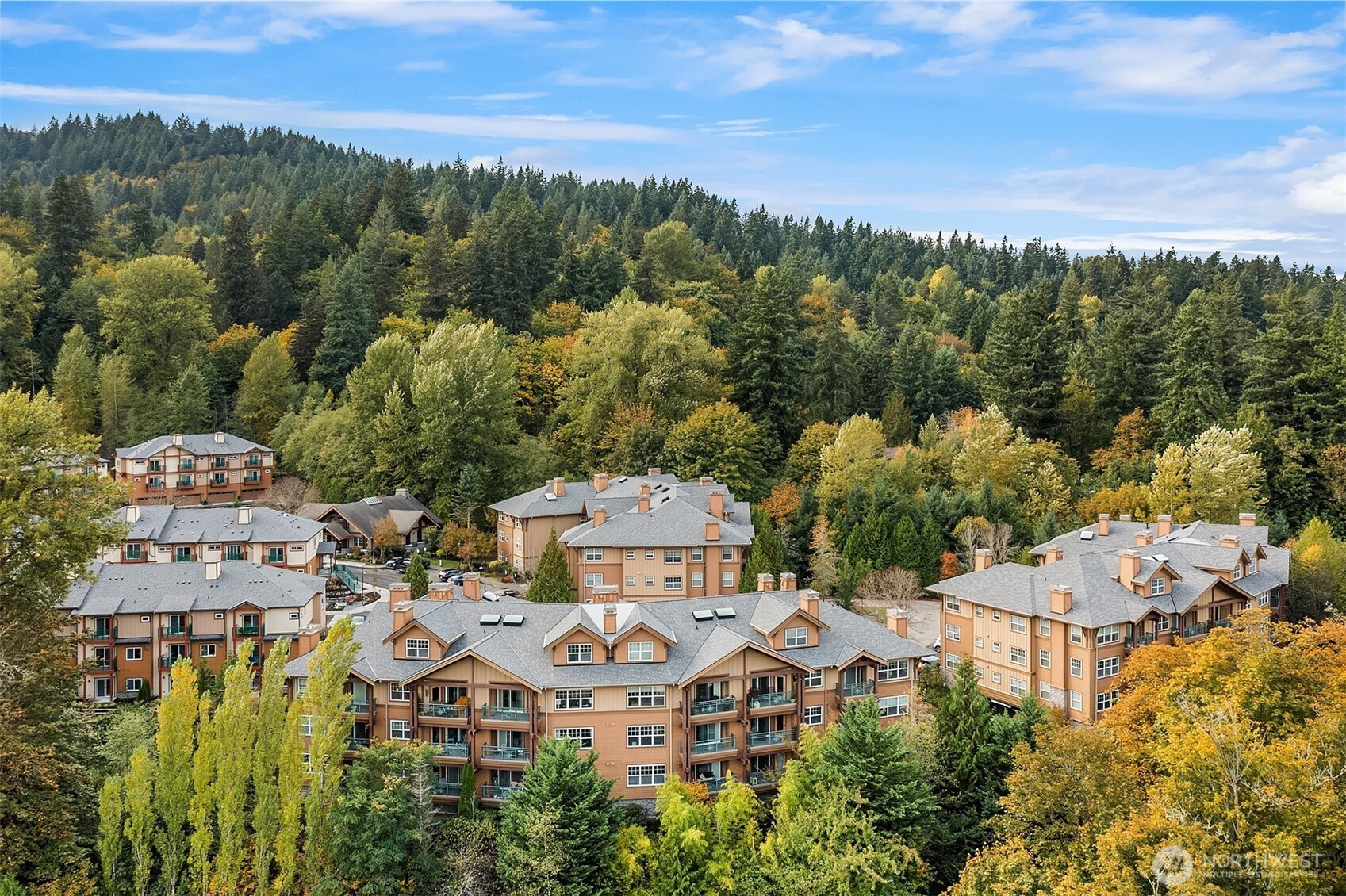 1000 Cabin Creek Lane SW, Issaquah, WA 98027