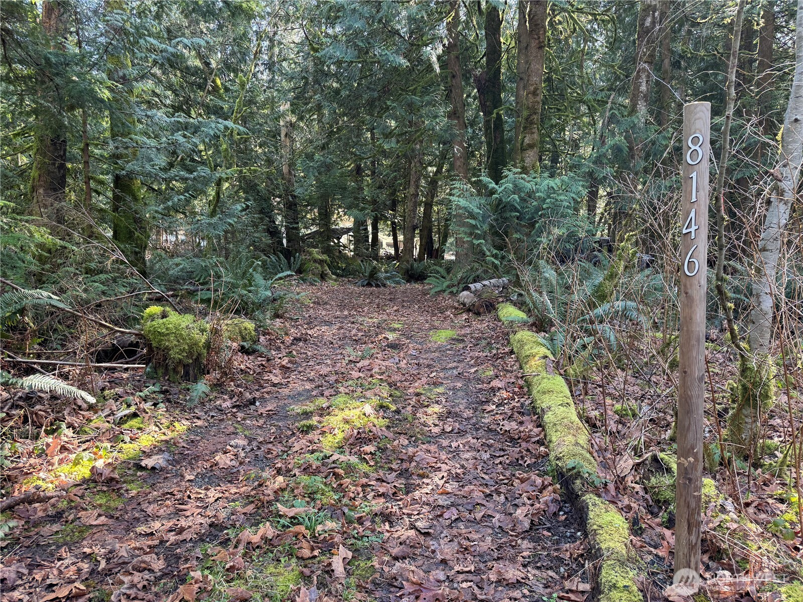 8146 Watkins Road, Sumas, WA 98295