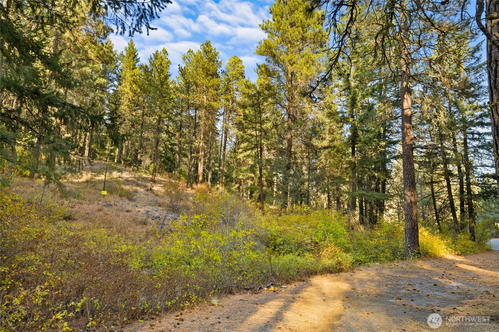 15 XX Elk Heights Road, Cle Elum, WA 98922