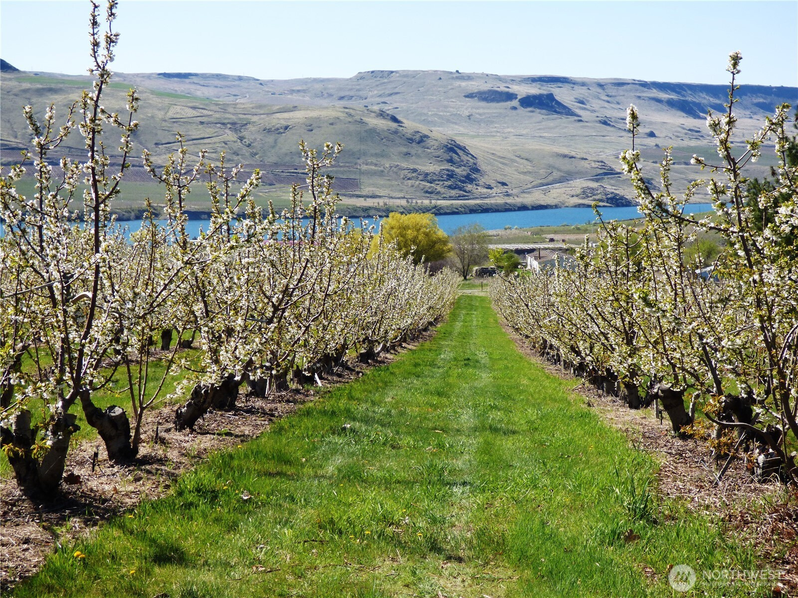 501 Jack Wells Road, Bridgeport, WA 98813