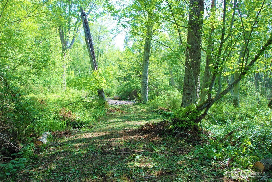 11 Koehn Road, Blaine, WA 98230