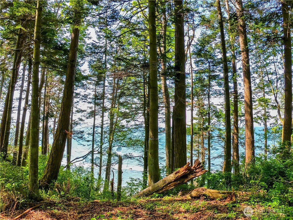 12 Koehn Road, Blaine, WA 98230