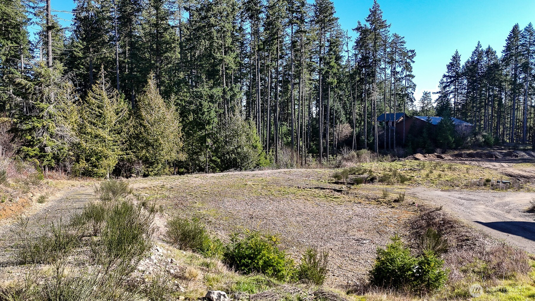 223 W B Street, Shelton, WA 98584