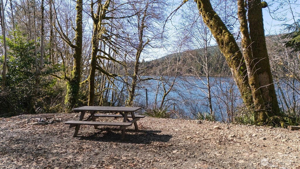 1185 E Lake Pleasant Road, Beaver, WA 98305