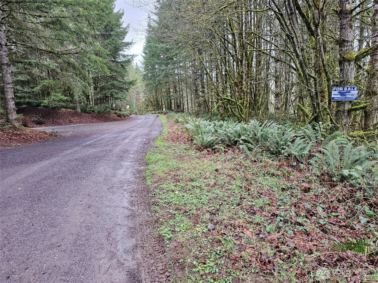 461 Clearwater Road, Kelso, WA 98626