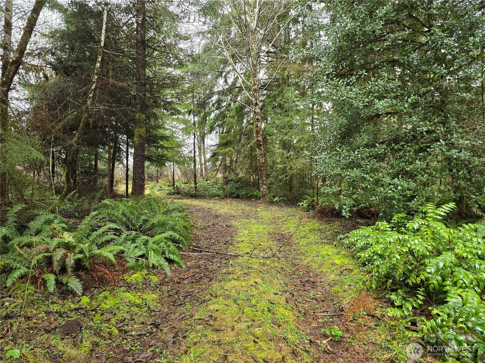0 Lot 1&2 W Elk Hill Road, Elma, WA 98541