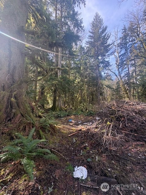 63605 NE 189th Street, Baring, WA 98224