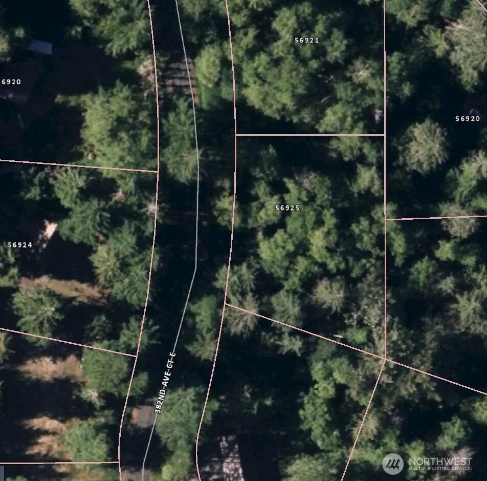 56925 382nd Avenue Ct E, Ashford, WA 98304