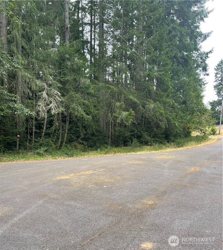 12514 93rd Street Ct, Anderson Island, WA 98303