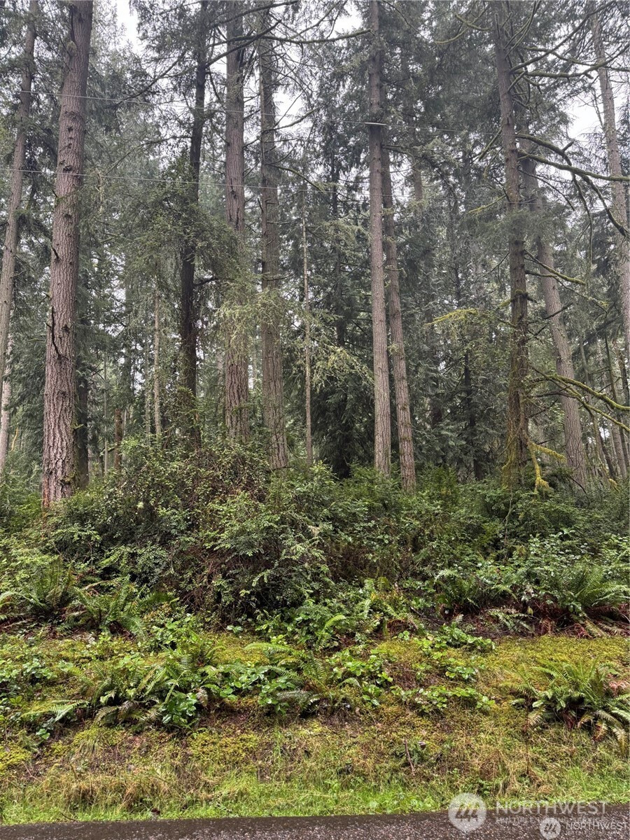 12708 Lovass Road, Anderson Island, WA 98303