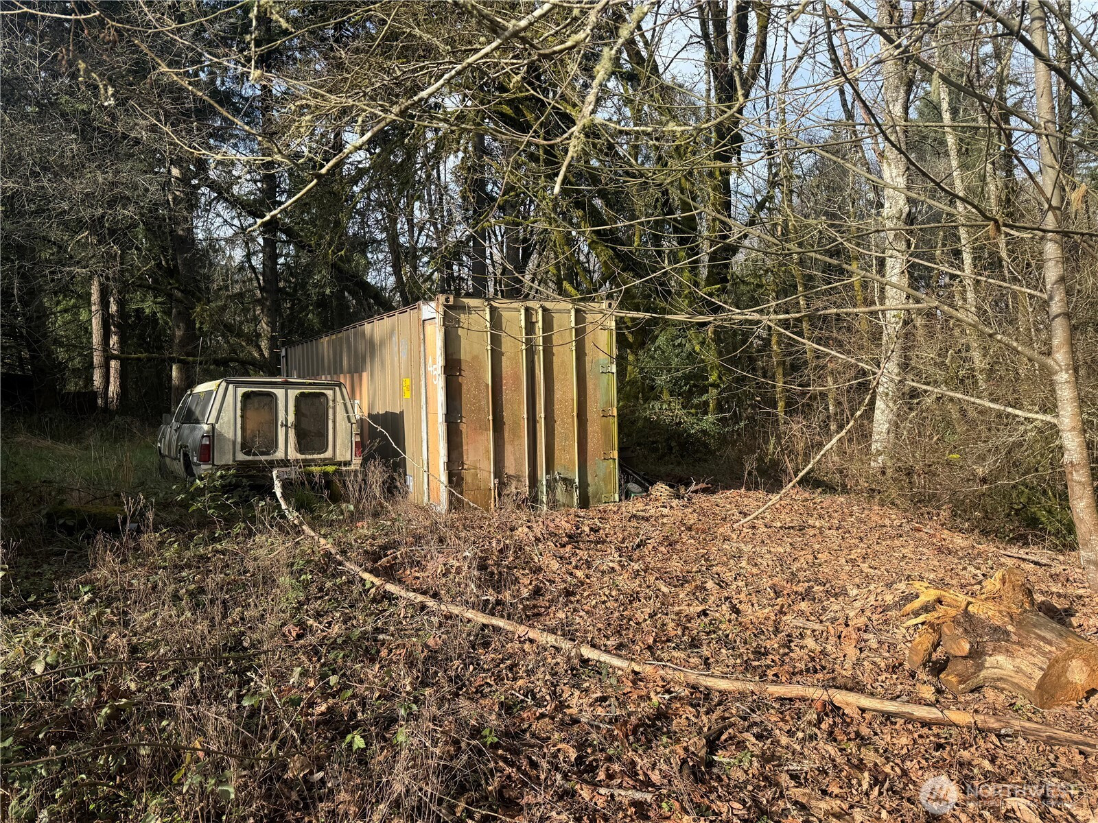 106 Olequa Place, Vader, WA 98593