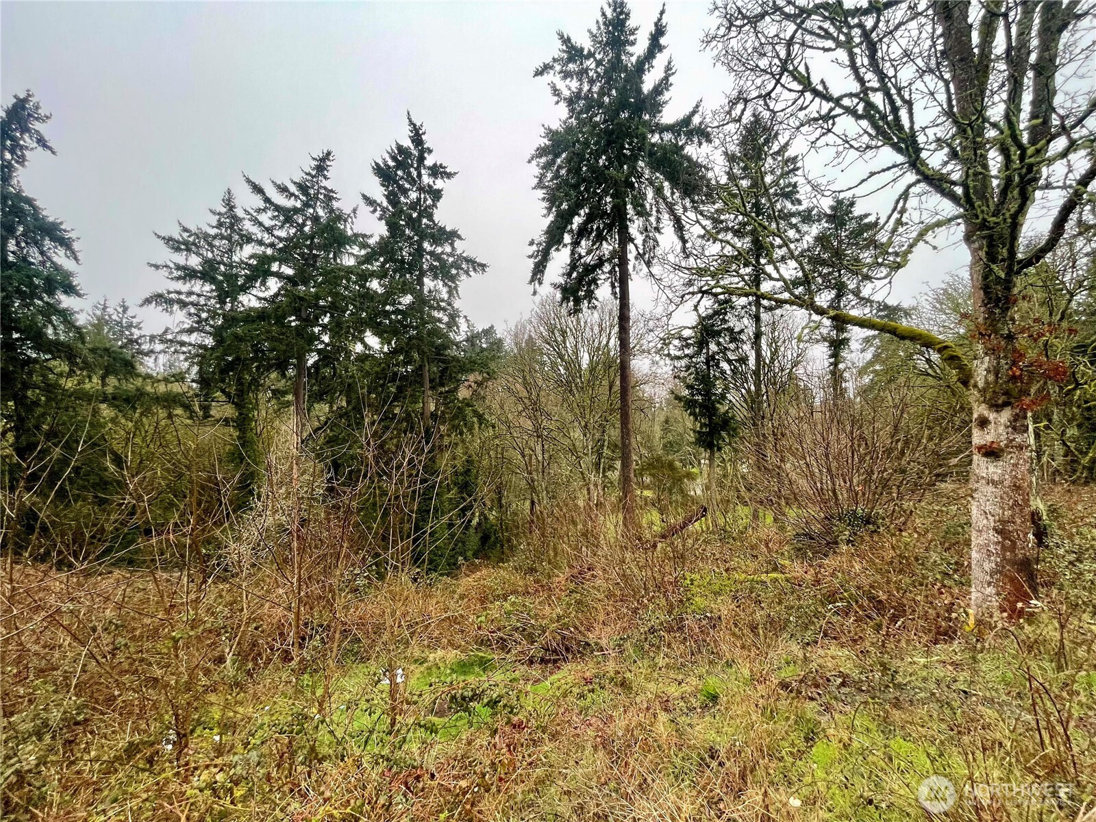 0 Edgewater Drive SW, Lakewood, WA 98499