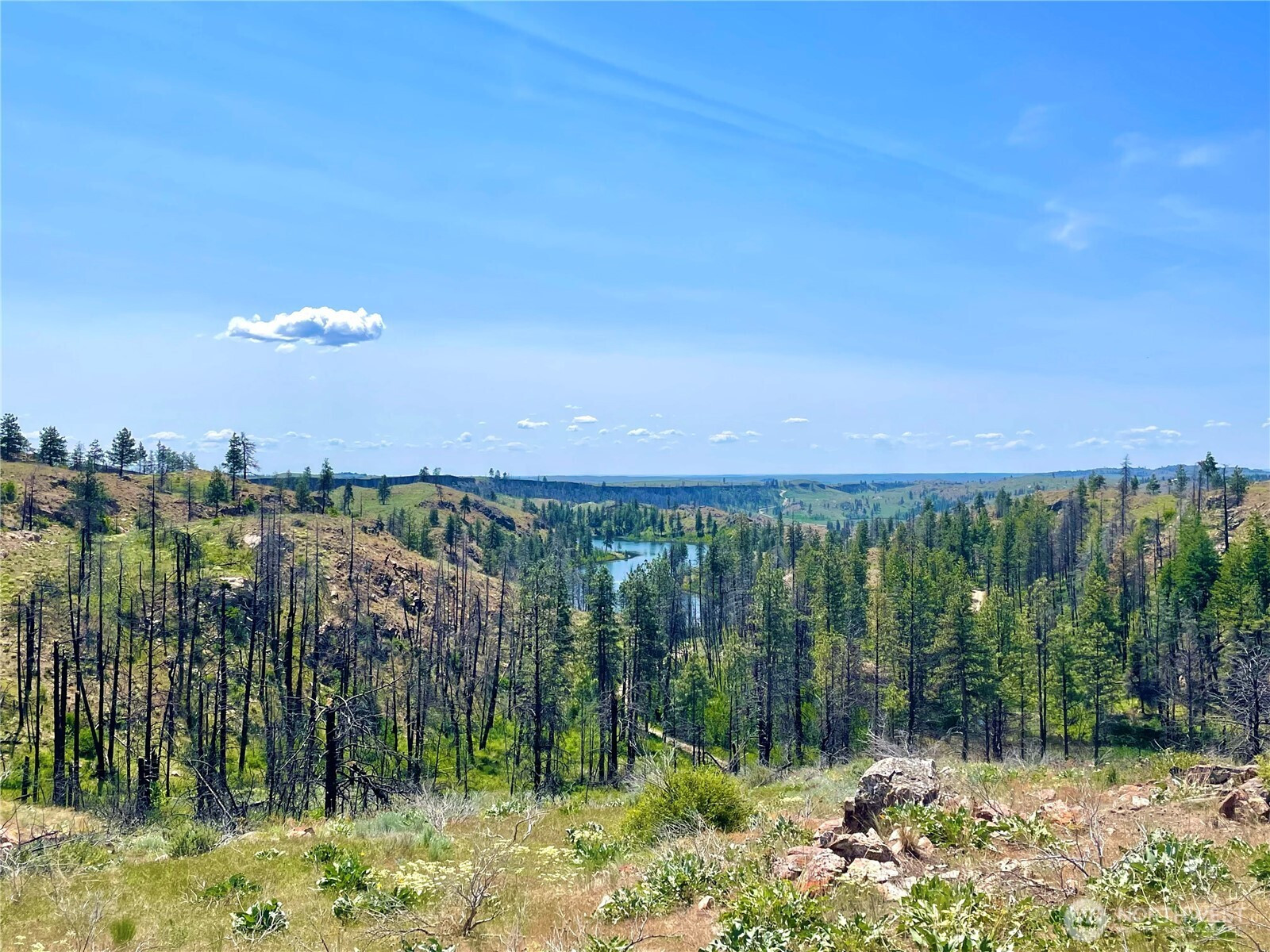 0 TBD Madd Mtn Road, Okanogan, WA 98840