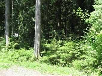 148 Polo Park Drive, Bellingham, WA 98229