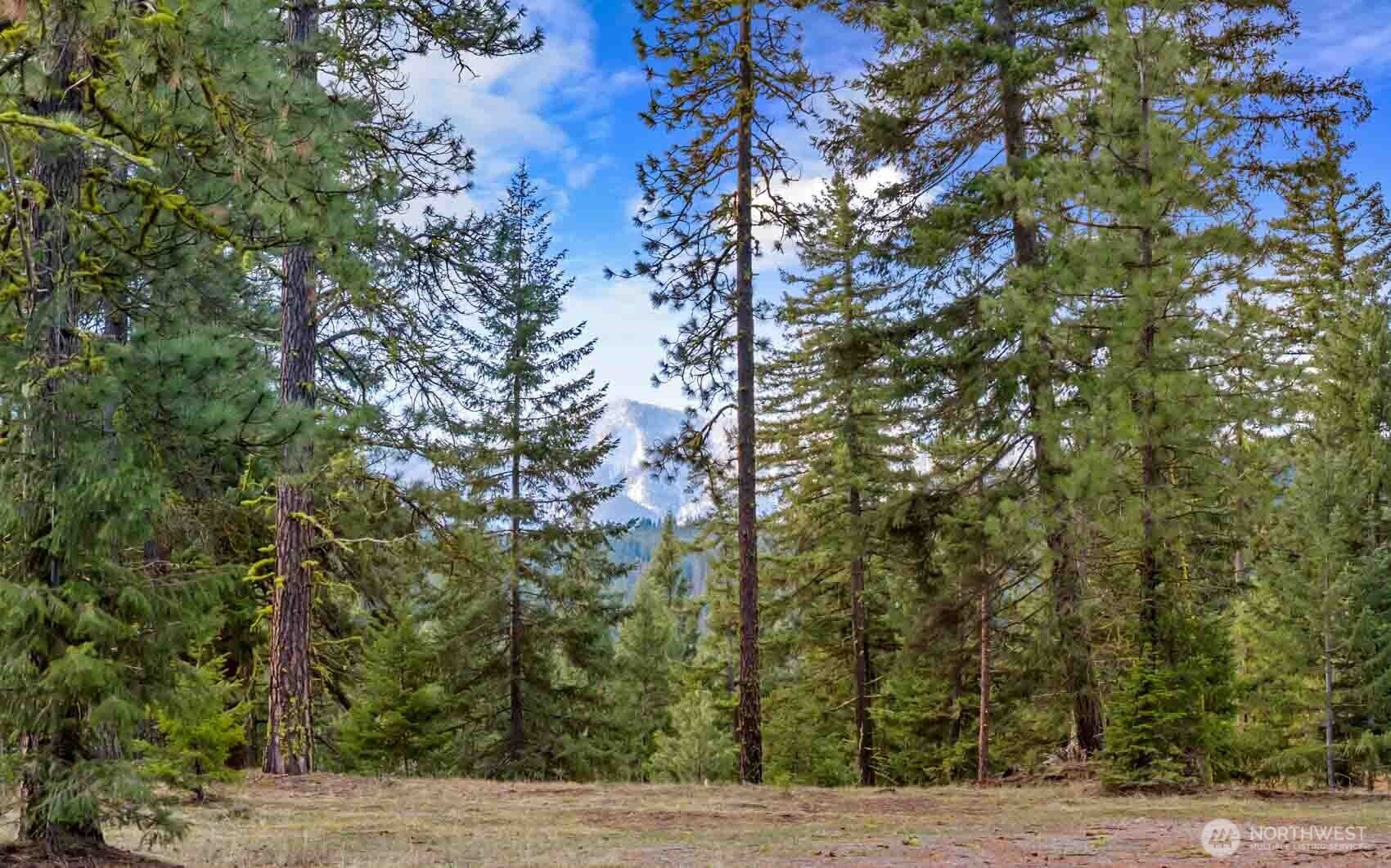 17 Wanawish Loop, Cle Elum, WA 98922