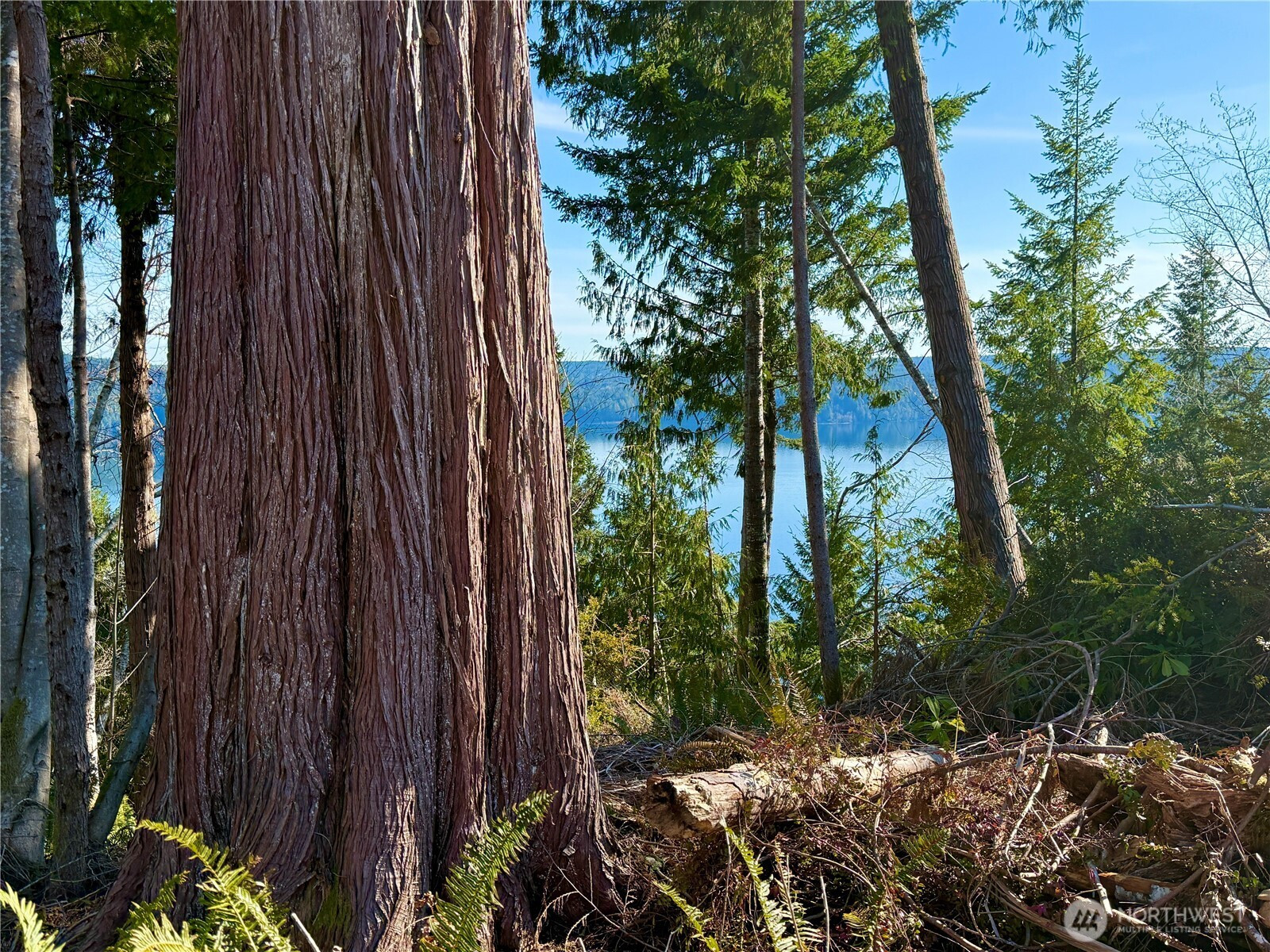 63 Devereaux Drive, Lilliwaup, WA 98555