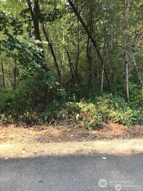 7521 188th Avenue E, Bonney Lake, WA 98391